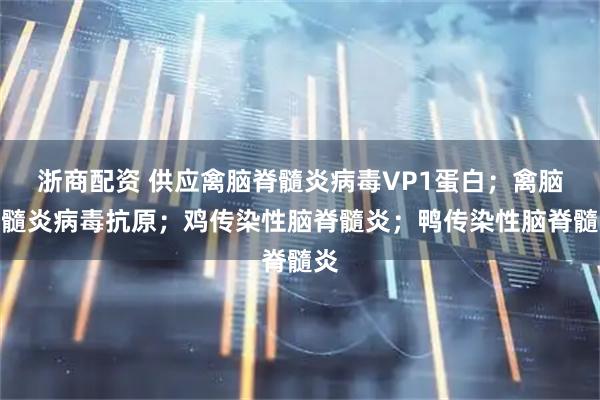 浙商配资 供应禽脑脊髓炎病毒VP1蛋白；禽脑脊髓炎病毒抗原；鸡传染性脑脊髓炎；鸭传染性脑脊髓炎